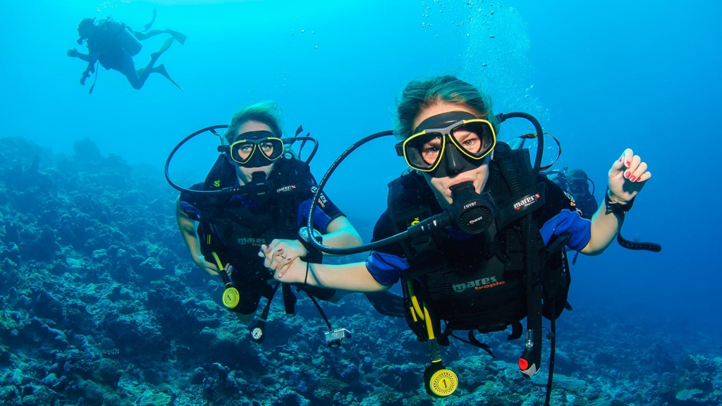 Diving Academy Best Price With Best Quality Tours